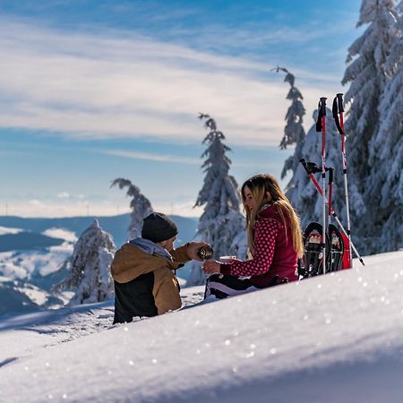 Schwarzwaldhorst 1 Fuer 8 Gaeste In Todtnau, Liftverbund Feldberg Esterno foto