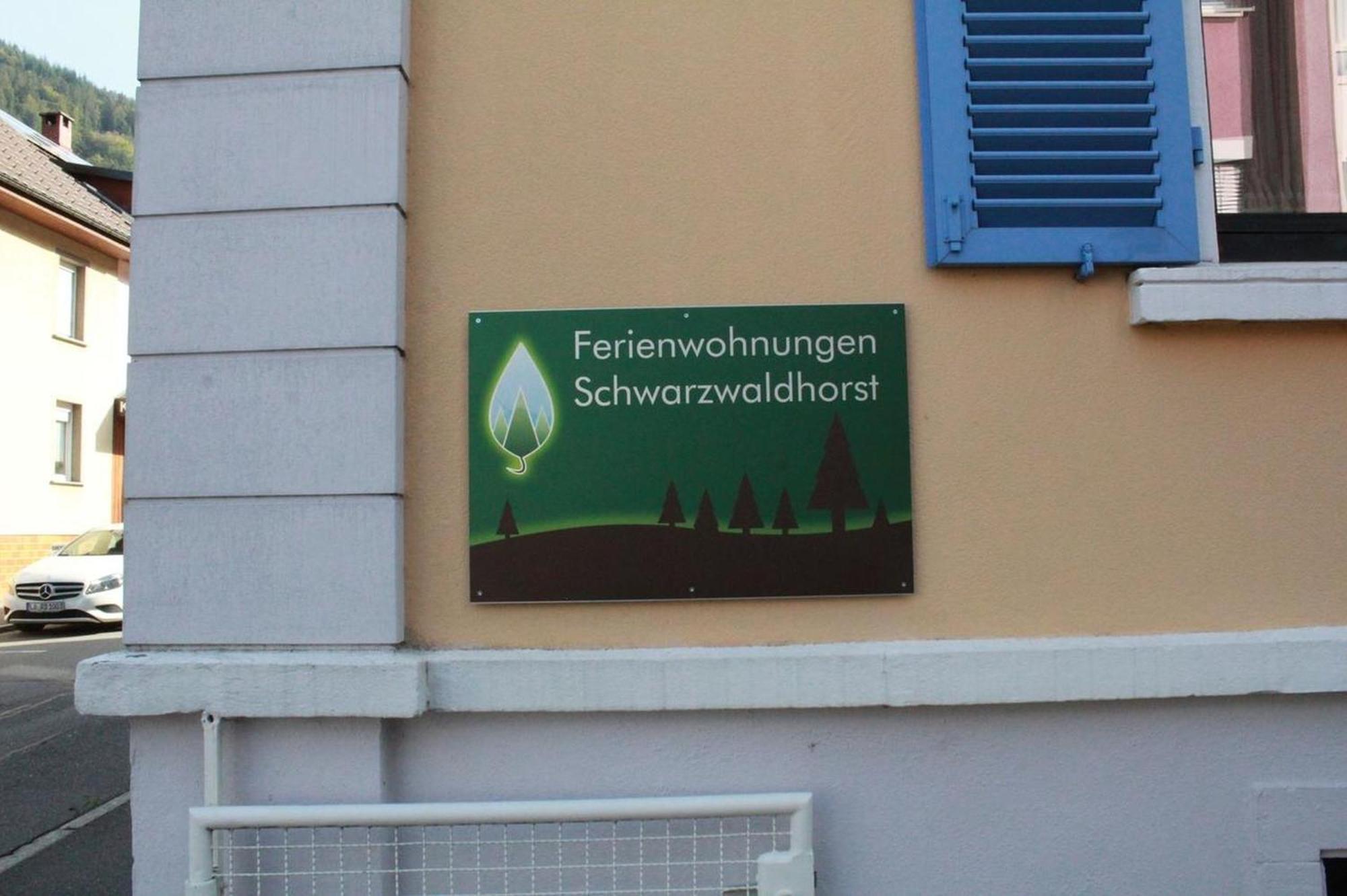 Schwarzwaldhorst 1 Fuer 8 Gaeste In Todtnau, Liftverbund Feldberg Esterno foto