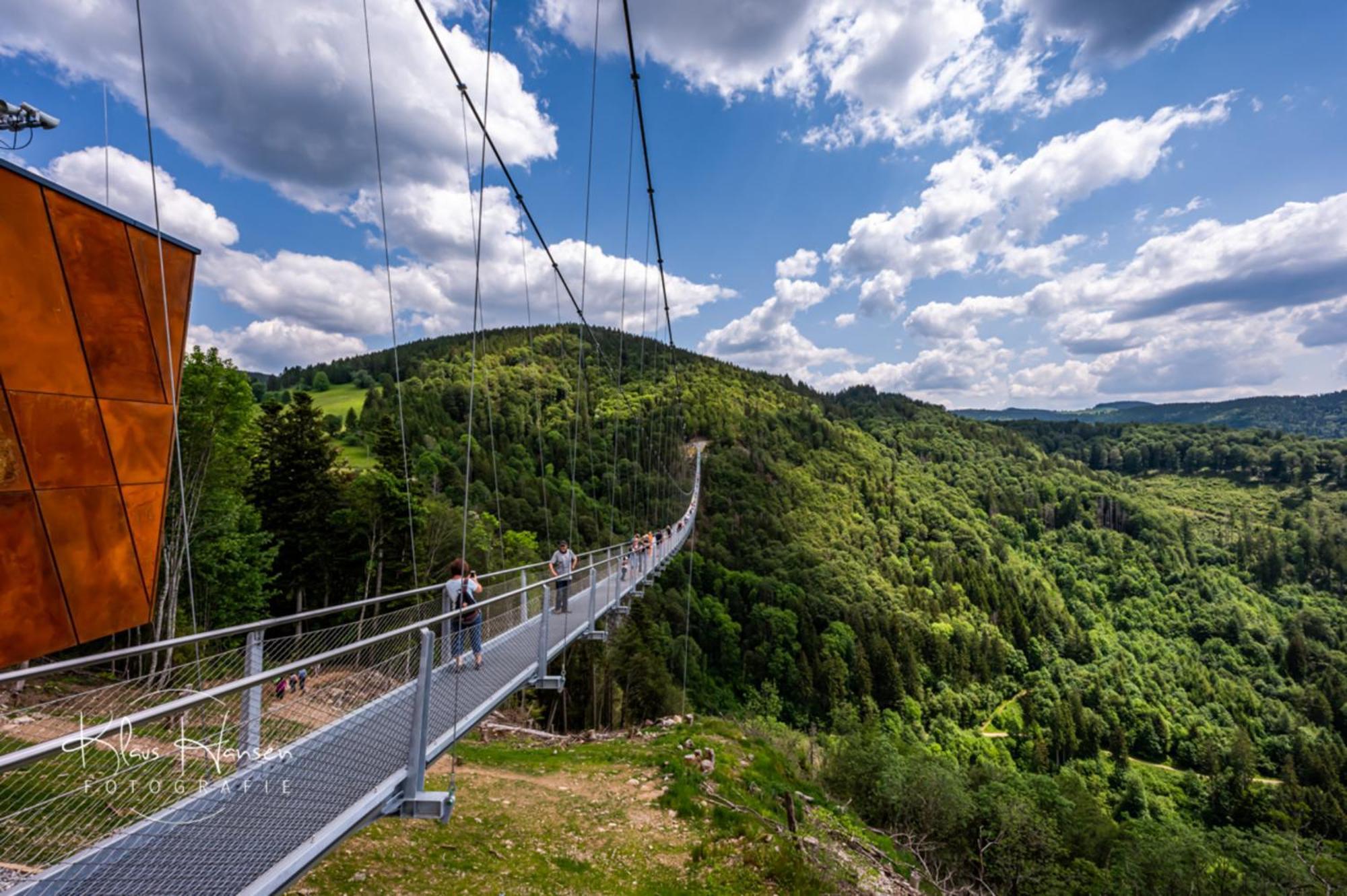 Schwarzwaldhorst 1 Fuer 8 Gaeste In Todtnau, Liftverbund Feldberg Esterno foto