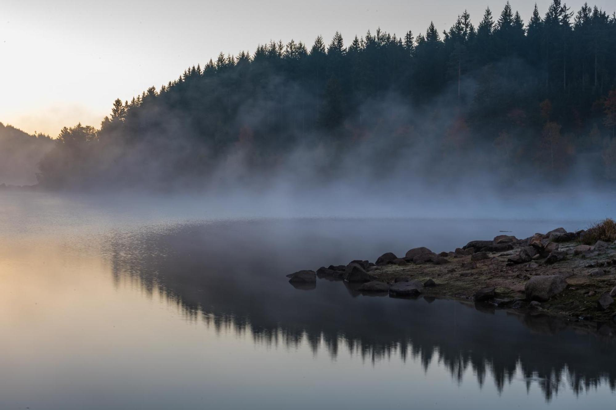 Schwarzwaldhorst 1 Fuer 8 Gaeste In Todtnau, Liftverbund Feldberg Esterno foto